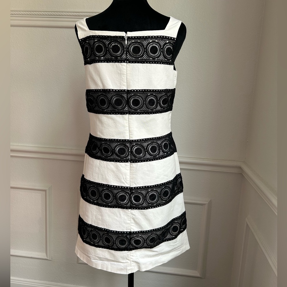 White House Black Market Striped Black and White Dress - Picture 4 of 5